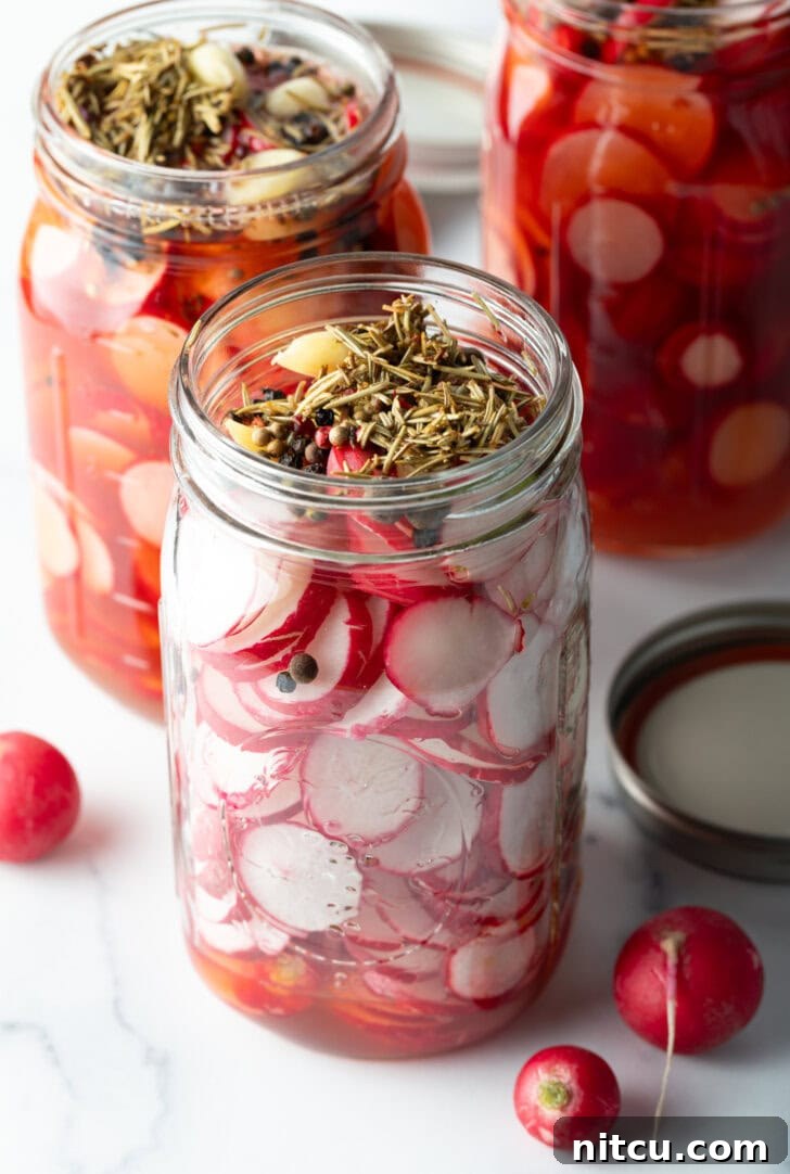 A close-up of a glass jar filled with thinly sliced radishes, garlic cloves, and rosemary, ready for the pickling liquid.