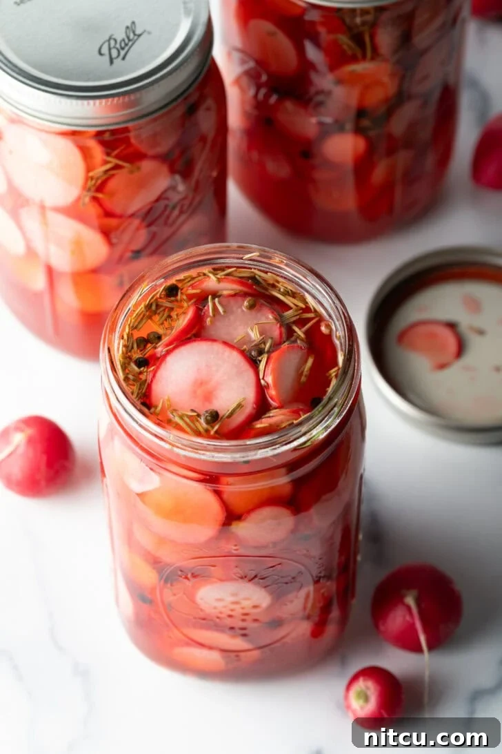 Several large open glass jars of beautifully pink pickled radish slices, ready to be enjoyed.