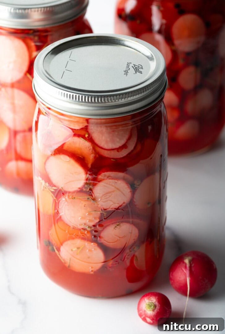 Three large sealed glass jars filled with pink pickled radish slices, stacked on top of each other in a kitchen setting.