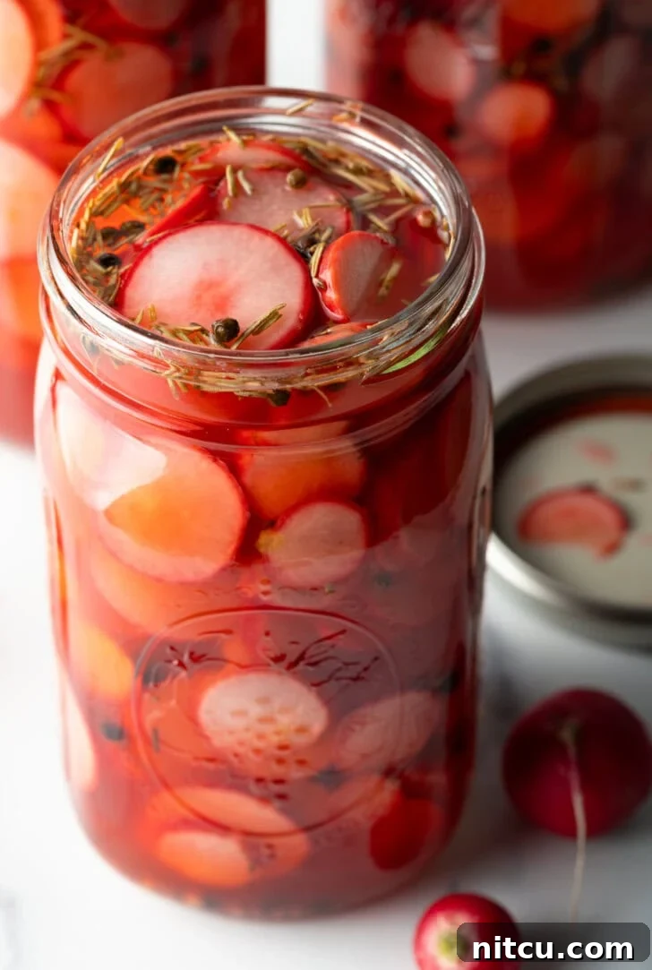 Several large open glass jars of beautifully pink pickled radish slices, ready for serving.
