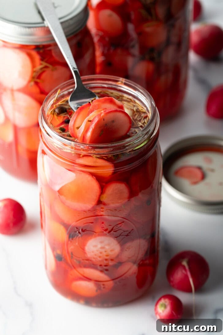A fork retrieving several vibrant pink pickled radishes from a large glass jar, highlighting their readiness to be served.