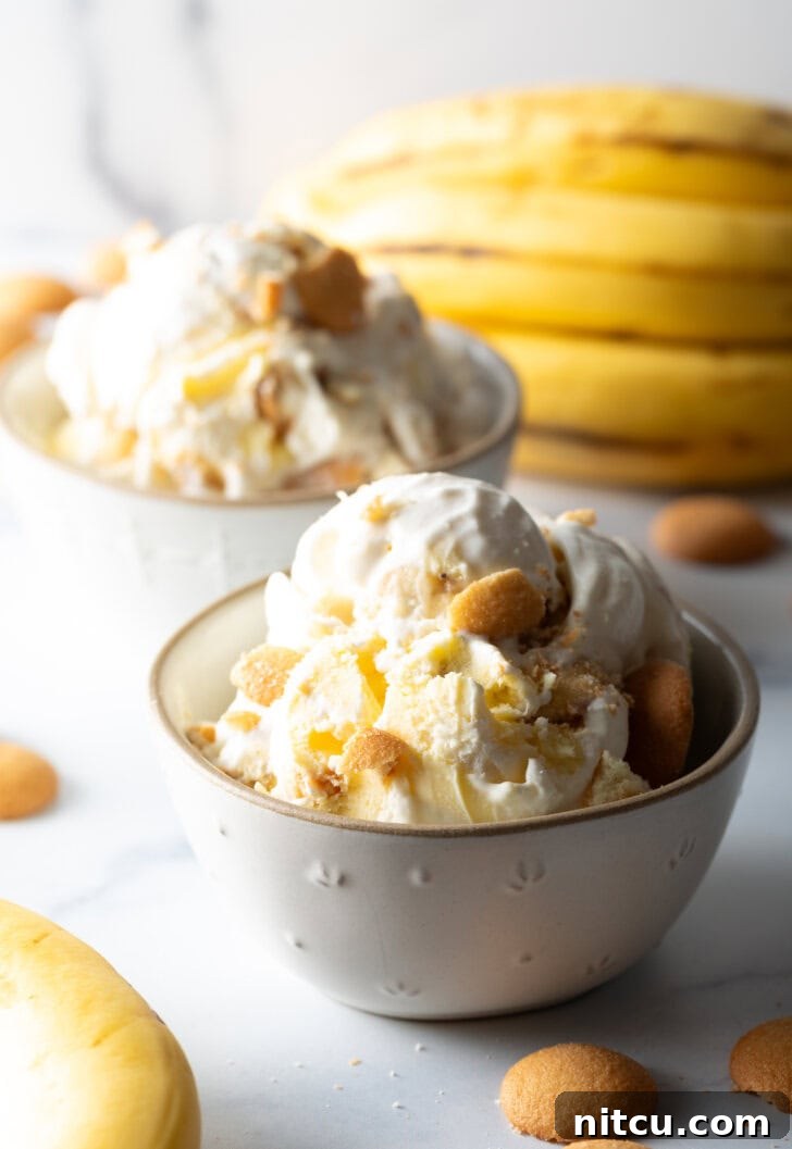 Effortless Banana Pudding Ice Cream 11 A pristine white bowl filled with creamy banana pudding ice cream, delightfully topped with golden vanilla wafers, showcasing its rich texture.