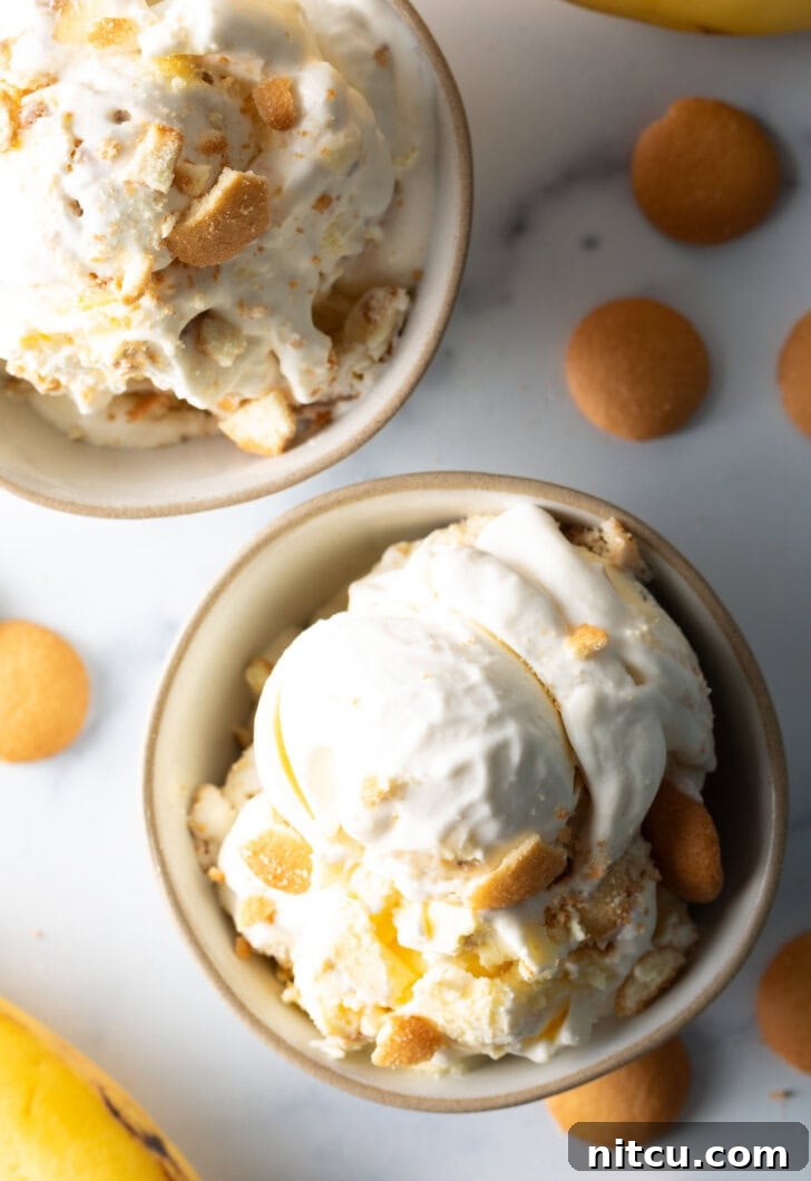 Effortless Banana Pudding Ice Cream 12 A pristine white bowl filled with creamy banana pudding ice cream, generously topped with golden vanilla wafers, presented beautifully.