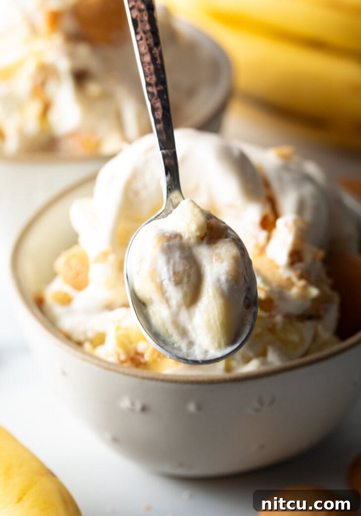 Effortless Banana Pudding Ice Cream 13 A pristine white bowl filled with creamy banana pudding ice cream, elegantly topped with vanilla wafers. A spoon is captured mid-scoop, presenting a perfect serving to the camera.