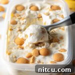 Effortless Banana Pudding Ice Cream 14 Container of no-churn banana pudding ice cream topped with nilla wafers, with a metal scooper scooping out a portion.