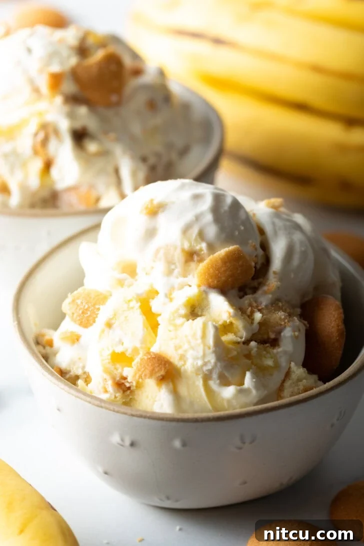 Effortless Banana Pudding Ice Cream 3 A pristine white bowl filled with creamy banana pudding ice cream, generously adorned with golden vanilla wafers, ready to be enjoyed.