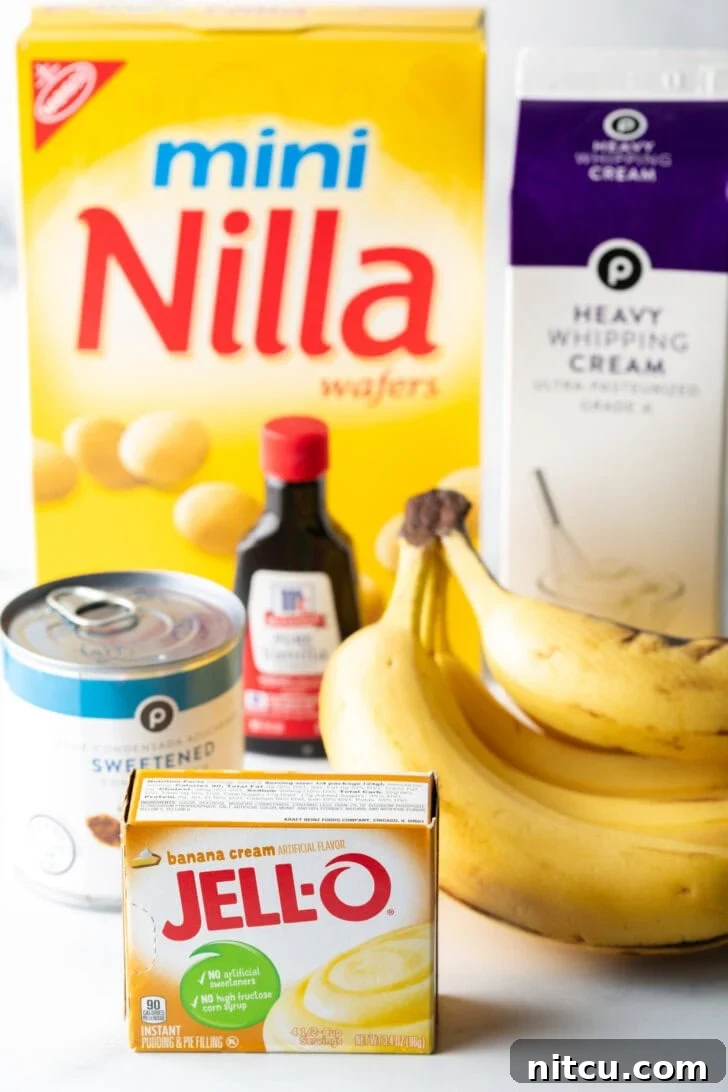 Effortless Banana Pudding Ice Cream 4 A vibrant flat lay showcasing all the essential recipe ingredients: a box of Nilla wafers, a packet of banana pudding mix, a carton of heavy cream, a bottle of vanilla extract, a can of sweetened condensed milk, and a bunch of perfectly ripe bananas.