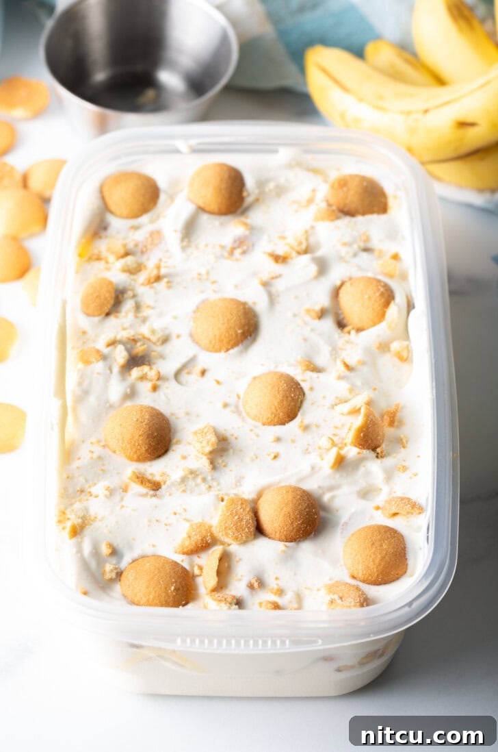 Effortless Banana Pudding Ice Cream 9 A generous container of homemade no-churn banana pudding ice cream, impeccably layered and topped with a scattering of golden Nilla wafers, ready for freezing.