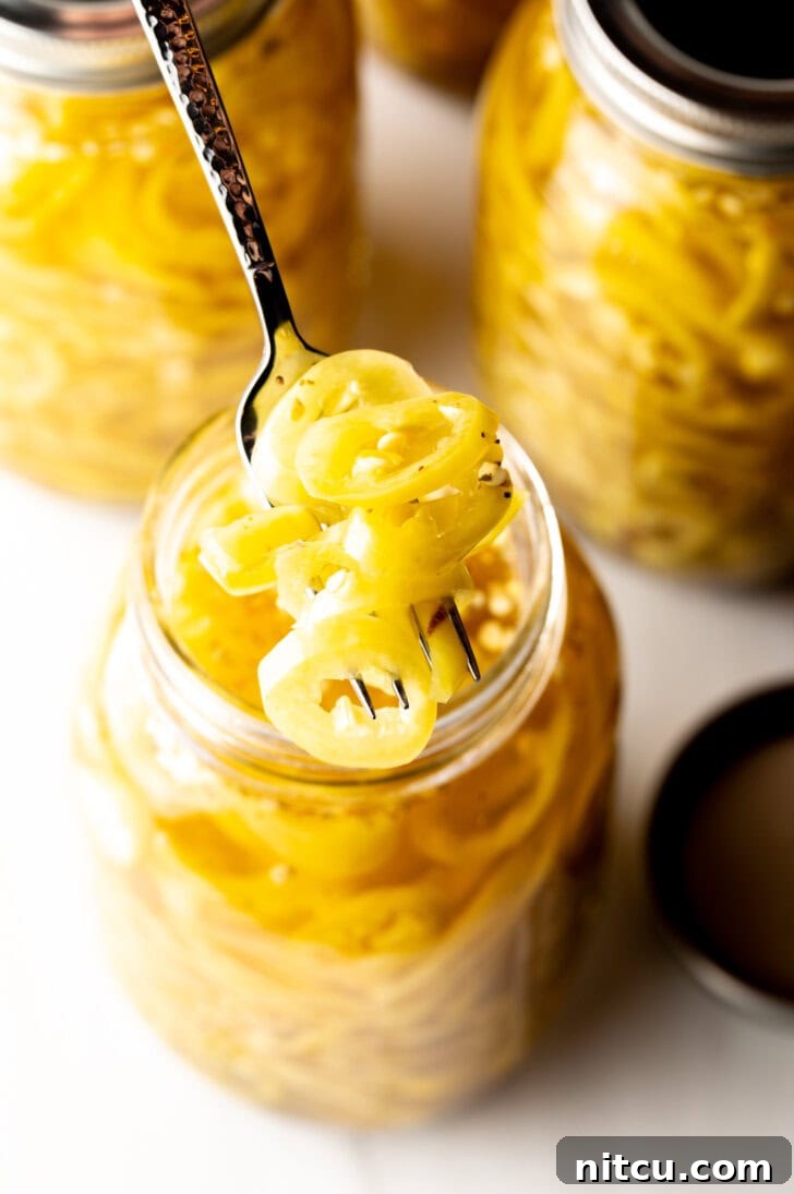 Sweet and Tangy Pickled Banana Peppers 4 4 large jars of canned pickled banana peppers. The jar closest to the camera has the lid off showing the slices of peppers filling the jar. A fork is pulling a serving of slices from the jar.