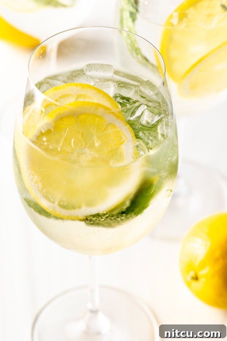 St-Germain Garden Spritz 3 Wine glass with clear alcohol, mint leaves, and lemon slices.