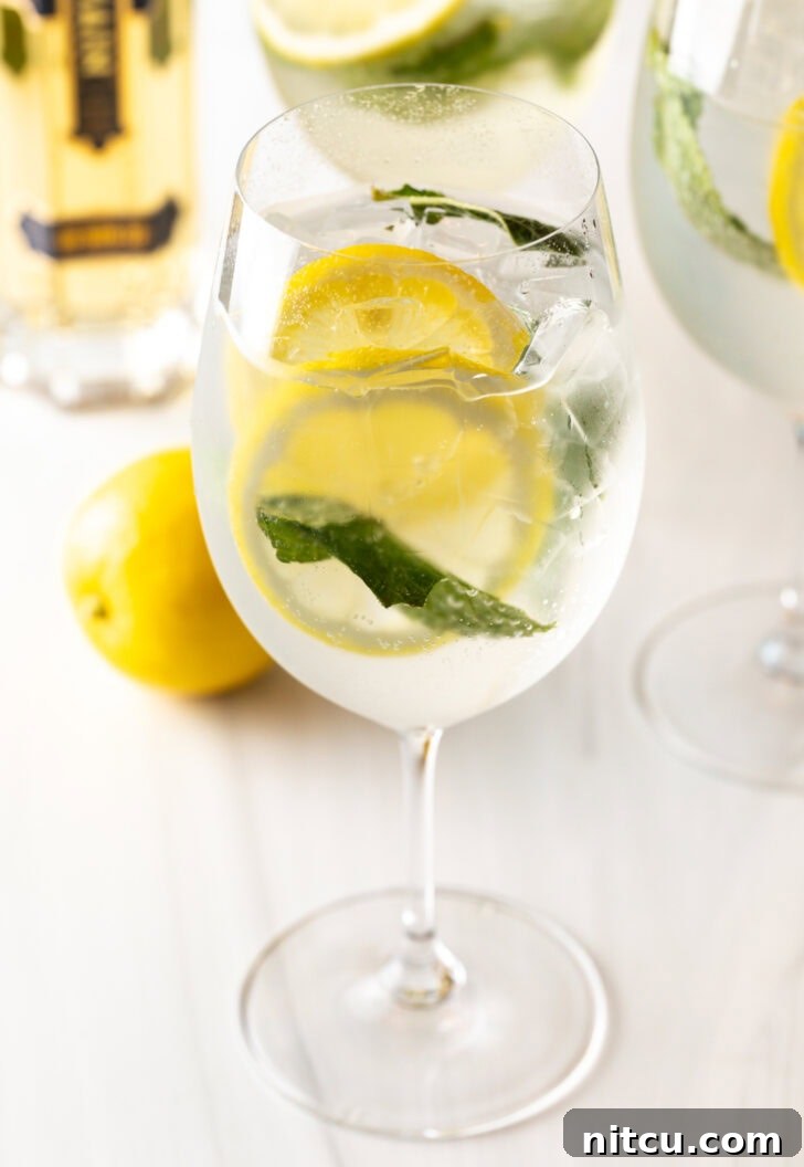 St-Germain Garden Spritz 9 Finished hugo spritz recipe: 3 wine glasses each with clear alcohol, mint leaves, and lemon slices.