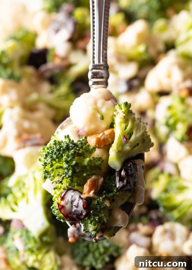 Vibrant Broccoli Cauliflower Salad 11 A spoon generously filled with vibrant broccoli, pecan, red onion, cranberry, and cauliflower salad, held up to the camera, showcasing its delicious mix of ingredients.