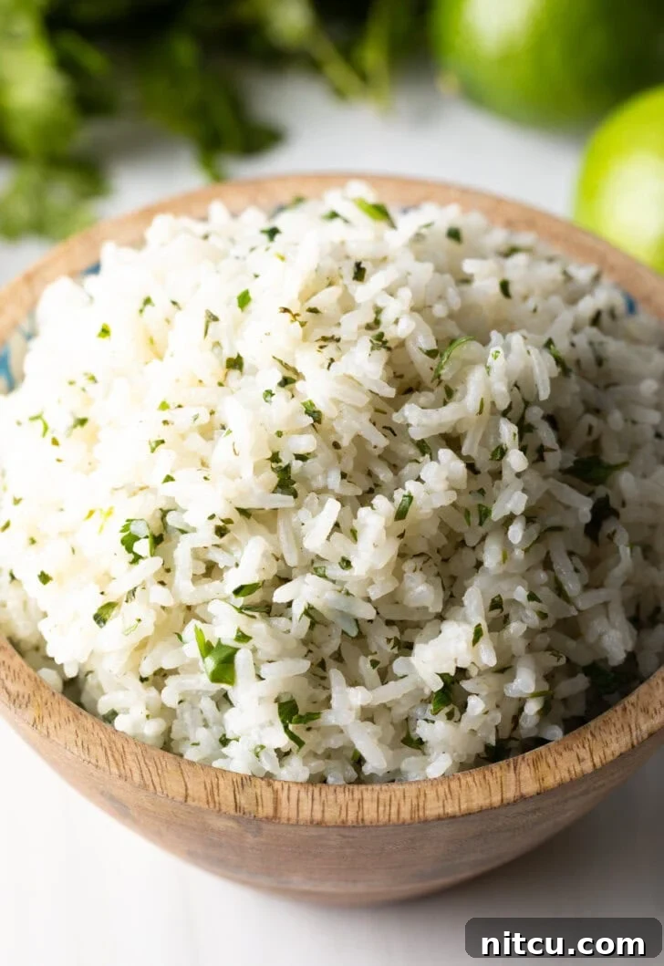 Homemade Chipotle Cilantro Lime Rice 2 Bowl of chipotle rice with cilantro.