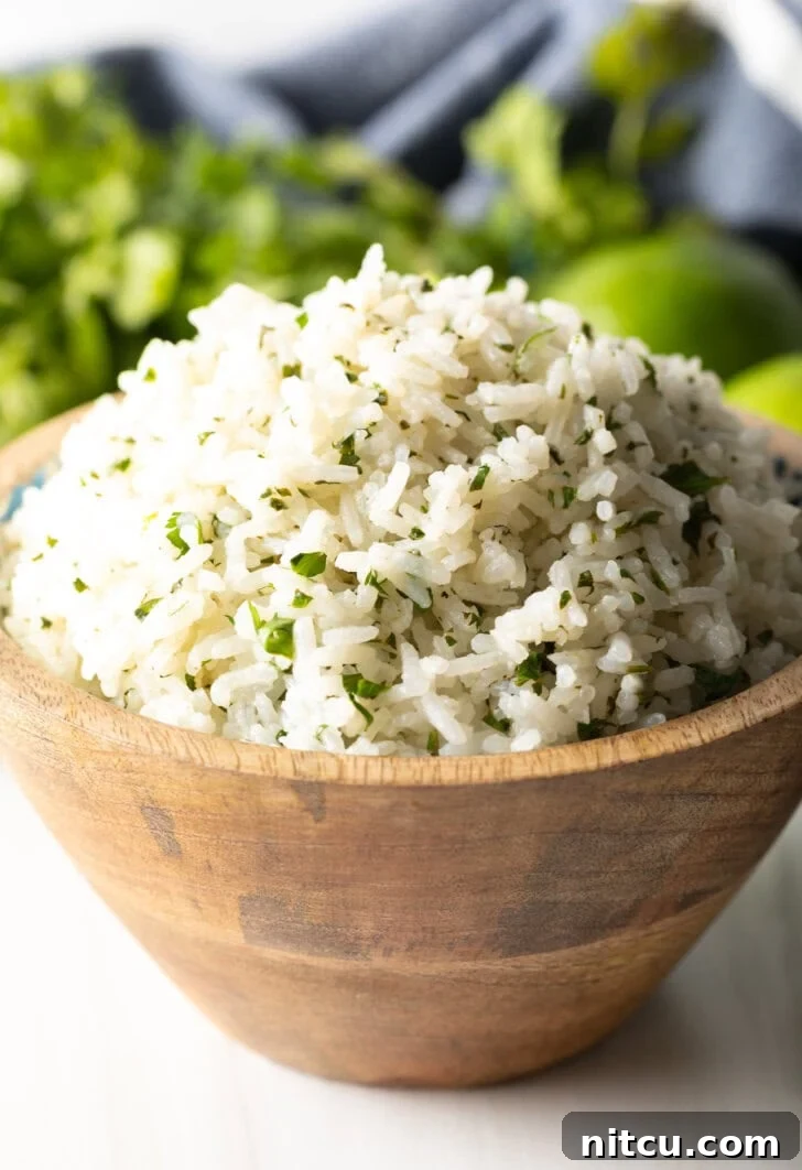 Homemade Chipotle Cilantro Lime Rice 4 Bowl of chipotle rice with cilantro.