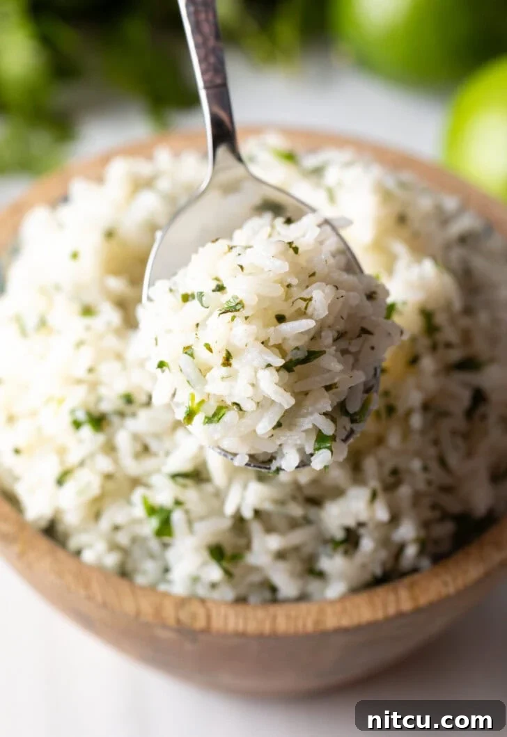Homemade Chipotle Cilantro Lime Rice 8 Metal spoon scooping rice to camera.