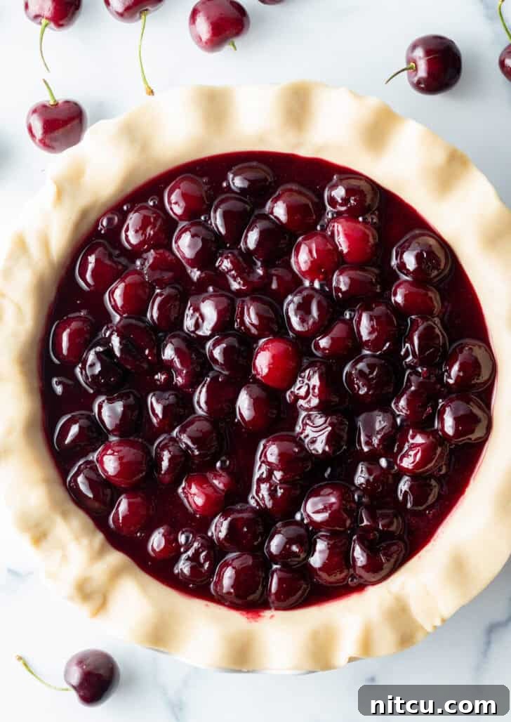 Sweet Cherry Pie Delight 9 A raw pie bottom crust, perfectly fitted into a pie pan, filled generously with the rich, red homemade cherry pie filling, awaiting its top layer.