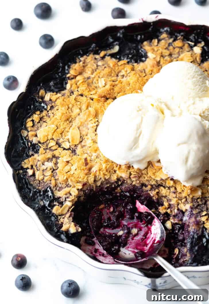 Perfect Blueberry Crisp 2 A beautifully baked blueberry crisp in a scalloped round baking dish, topped with melting scoops of vanilla ice cream. A metal spoon has taken out a serving, revealing the luscious blueberry filling beneath the golden crumble.