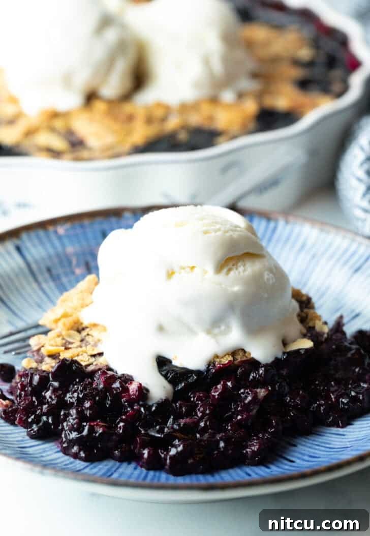 Perfect Blueberry Crisp 11 A close-up of a serving of blueberry crumble on a white plate, topped with a scoop of vanilla ice cream, showing the rich purple fruit and golden crumble texture.