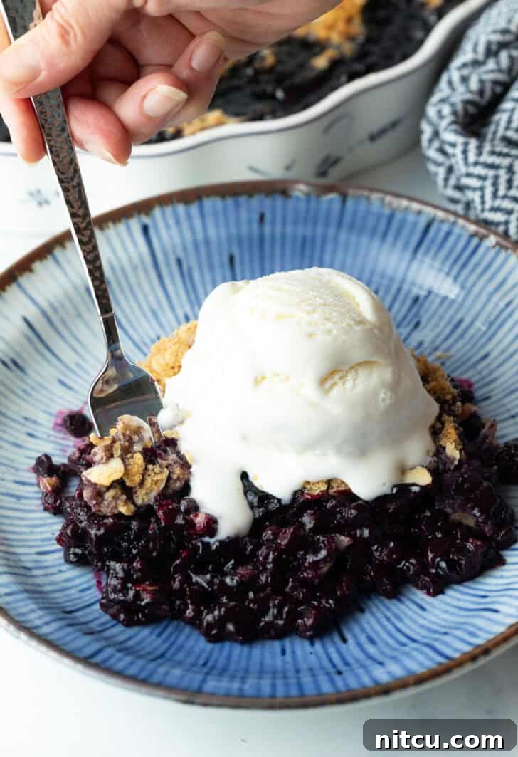 Perfect Blueberry Crisp 12 A plate holding a serving of warm blueberry crumble, topped with a melting scoop of vanilla ice cream. A fork has taken a bite, showcasing the delightful layers of fruit and topping.
