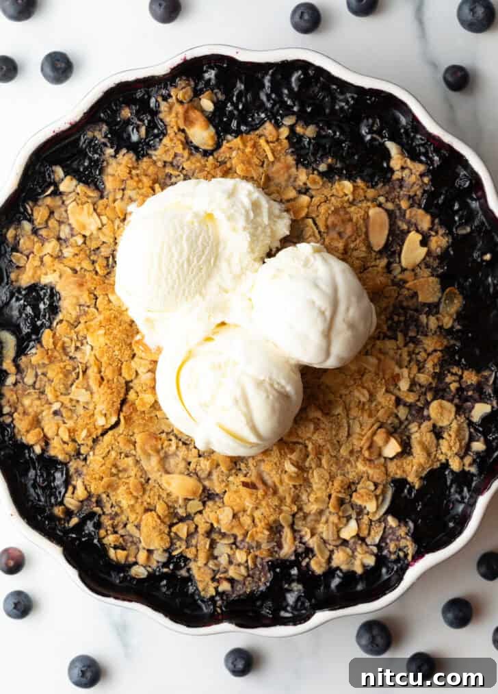 Perfect Blueberry Crisp 3 A close-up shot of the golden-brown topping of a blueberry crisp in a scalloped round baking dish, generously topped with multiple scoops of melting vanilla ice cream.