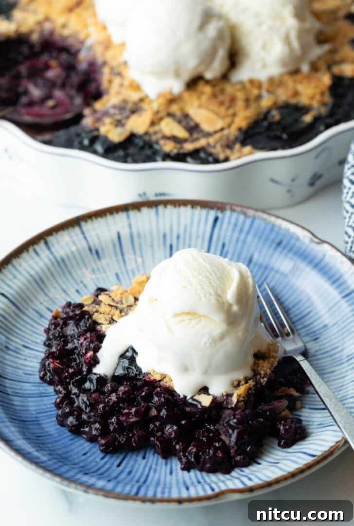 Perfect Blueberry Crisp 4 A delectable serving of warm blueberry crumble on a white plate, topped with a scoop of melting vanilla ice cream and garnished with a fresh blueberry.
