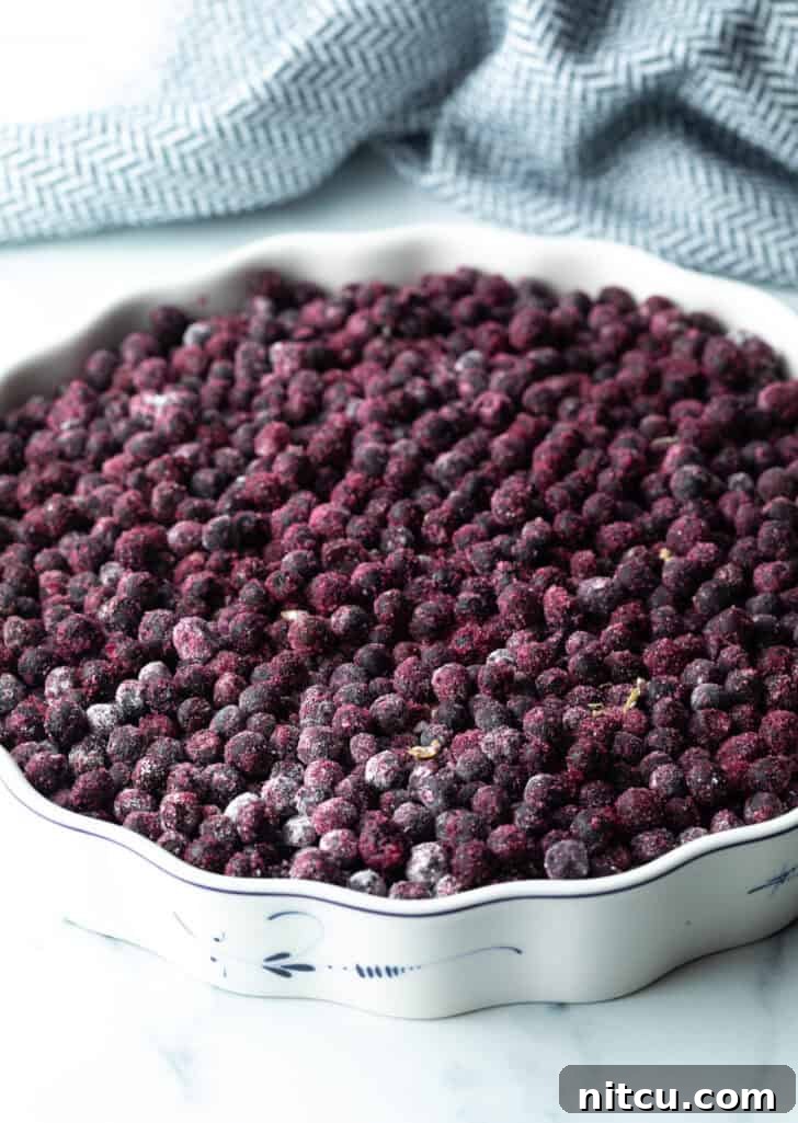Perfect Blueberry Crisp 6 A baking dish filled with a generous layer of blue and purple blueberries, coated in their filling mixture, ready for the topping.