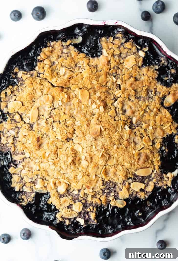 Perfect Blueberry Crisp 9 A freshly baked, golden-brown blueberry crisp in a scalloped round baking dish, steam gently rising, ready to be served.