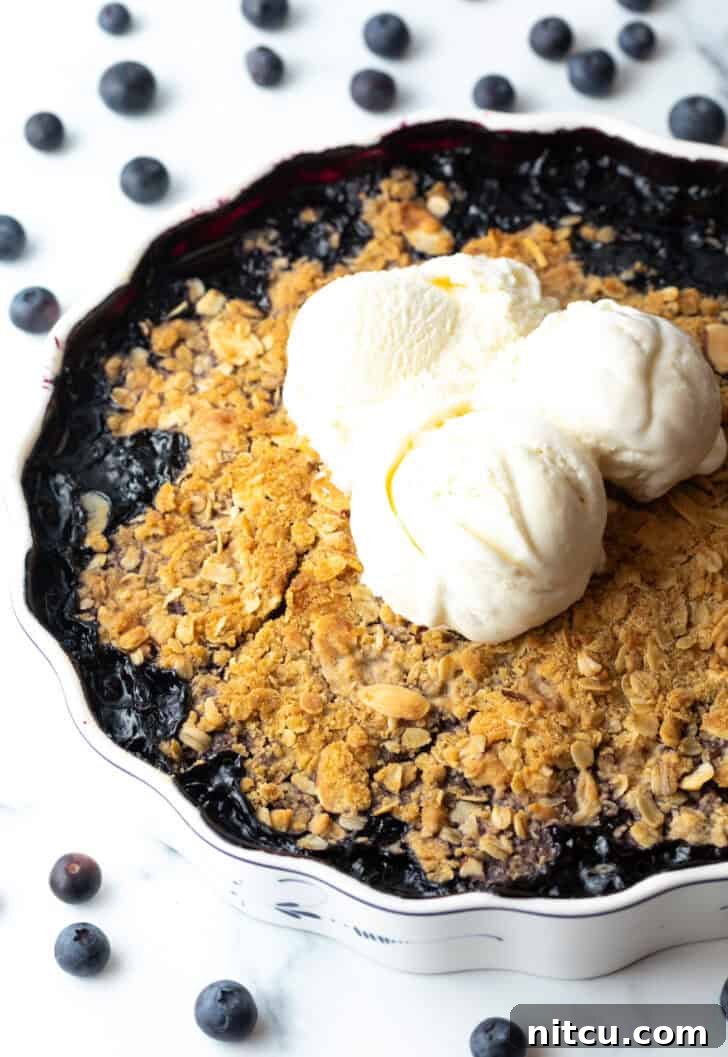 Perfect Blueberry Crisp 10 A baked blueberry crisp in a decorative scalloped round dish, generously topped with multiple scoops of melting vanilla ice cream, creating a mouth-watering presentation.