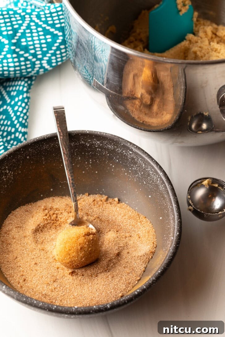 Mexican Biscochitos 6 A metal scoop rolling a perfectly portioned cookie dough ball into a bowl of cinnamon and sugar for coating.