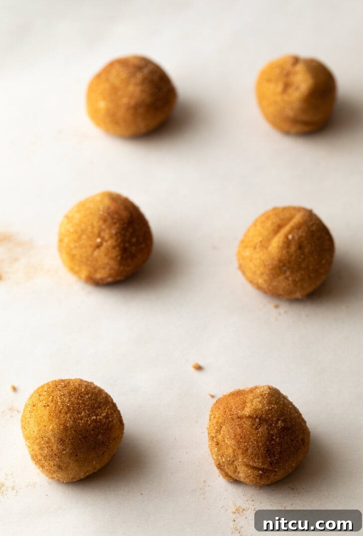 Mexican Biscochitos 7 Six evenly spaced, sugar-coated cookie dough balls arranged on a parchment-lined baking sheet, ready for the oven.