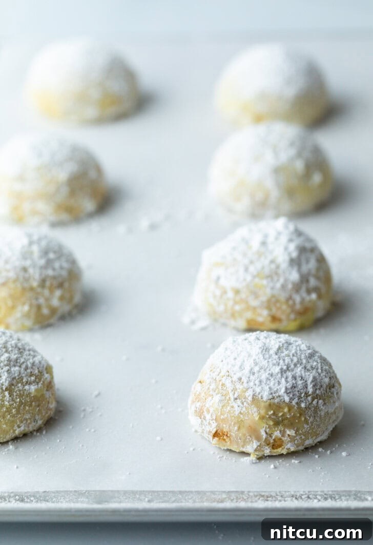 Several freshly baked and powdered sugar-dusted wedding cookies arranged on a baking sheet, ready for cooling and serving.