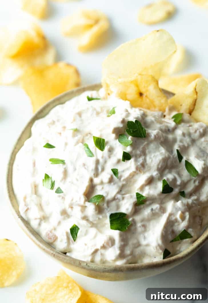 A beautifully presented bowl of creamy white French onion dip, garnished with freshly chopped chives, with a crisp potato chip artfully dipped into its rich texture.