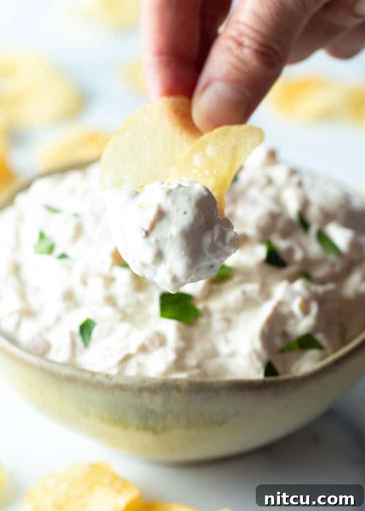 A hand holds a potato chip, showcasing a generous scoop of homemade French onion dip towards the camera.