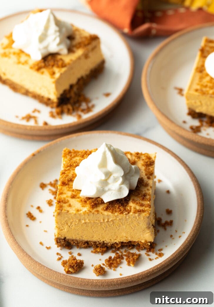 Sheet Pan No-Bake Pumpkin Cheesecake 12 Pumpkin cheesecake bar on a white plate, topped with whipped cream.