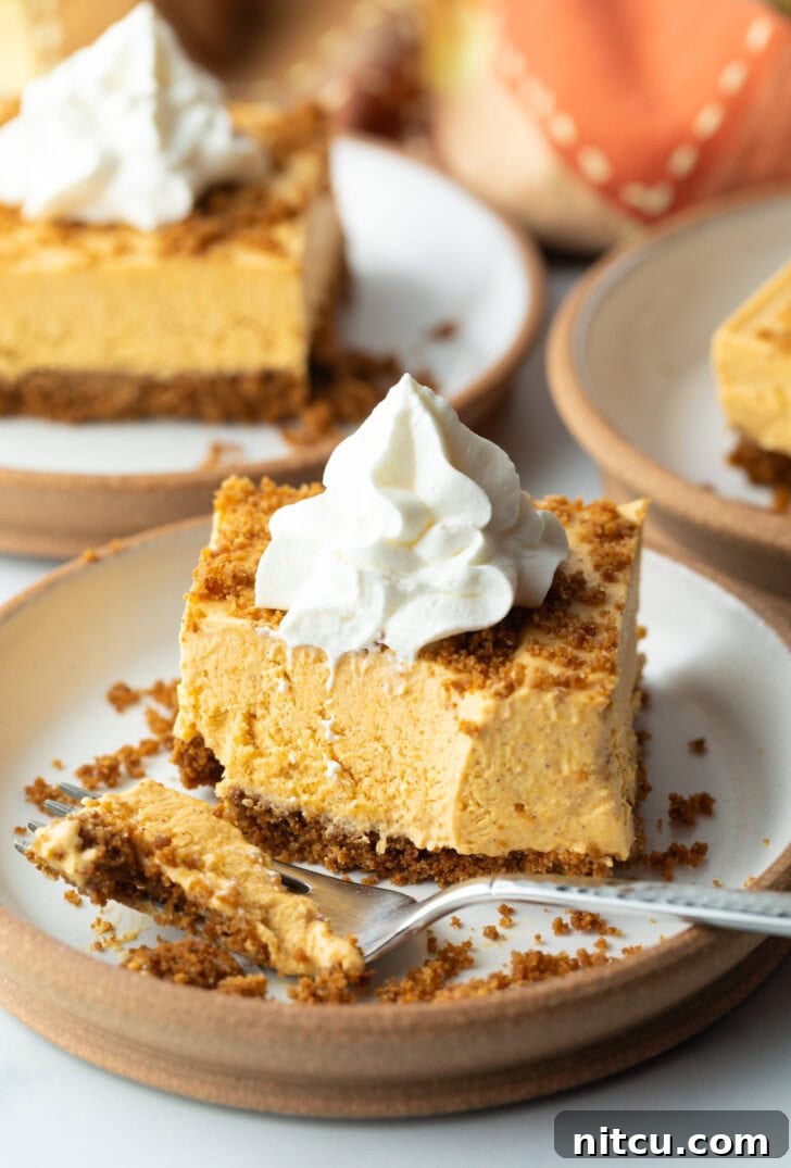 Sheet Pan No-Bake Pumpkin Cheesecake 13 Square of pumpkin pie cheesecake on a white plate, topped with whipped cream. A fork with a scoop of the dessert is on the plate as well.