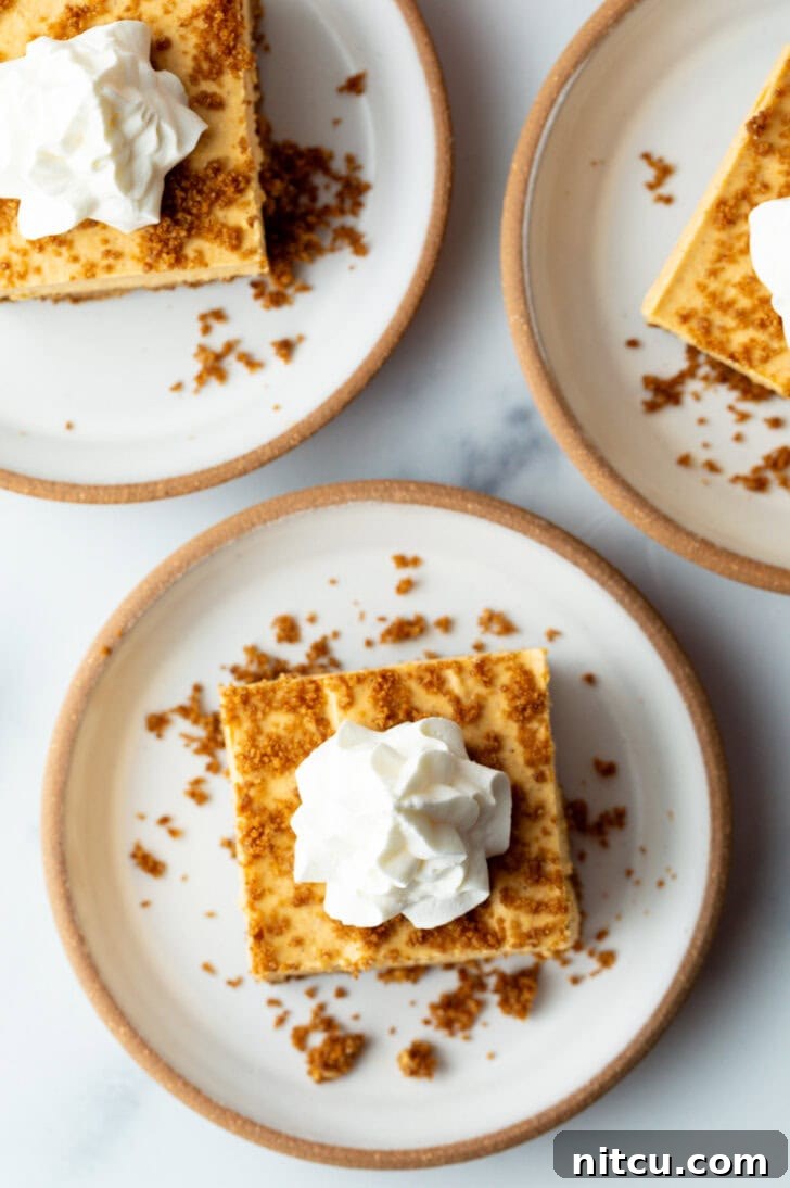 Sheet Pan No-Bake Pumpkin Cheesecake 4 Top down view pumpkin cheesecake bar on a white plate, topped with whipped cream.