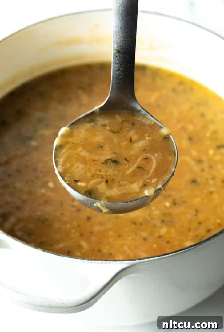 Bistro Onion Comfort 8 Metal ladle showing onion soup to camera, ready for serving.