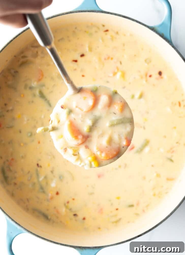 Velvety Garden Soup 9 Large cooking pot with creamy vegetable soup, with a ladle showing a scoop to camera.
