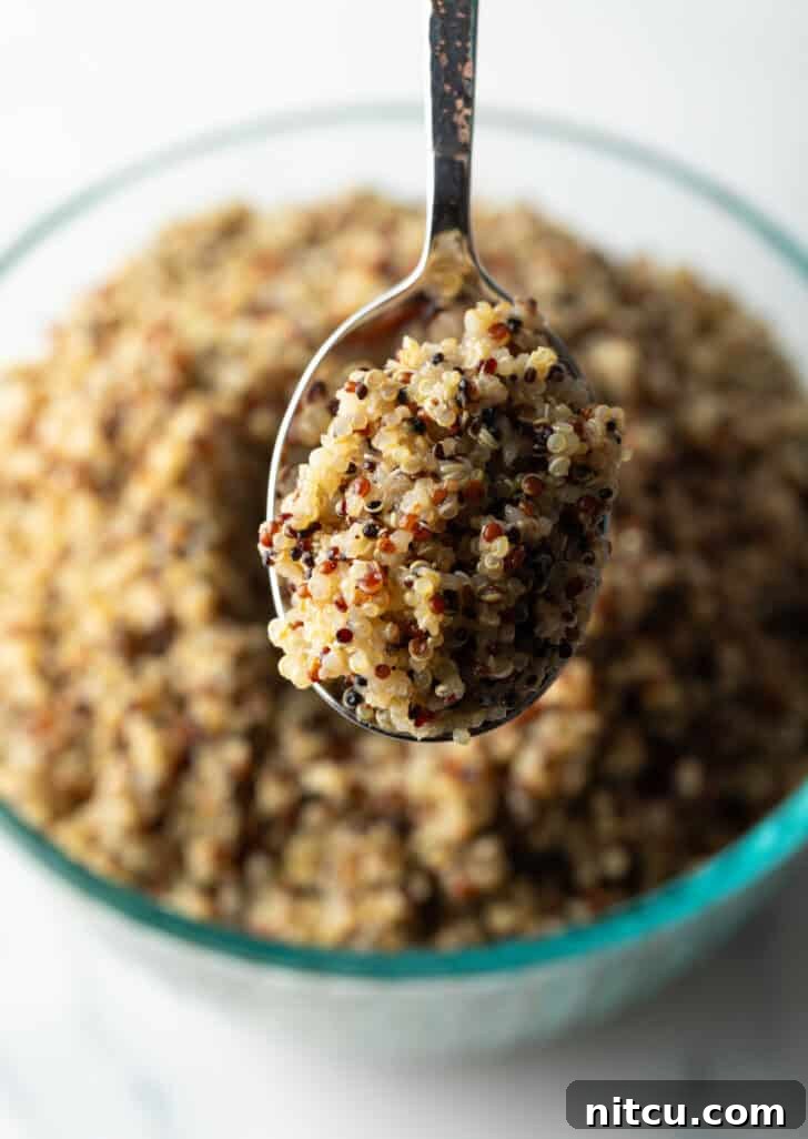 Perfectly Fluffy Quinoa 12 Spoon showing scoop of cooked quinoa to the camera.