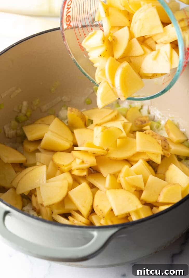 Adding chopped potato to the large cooking pot.