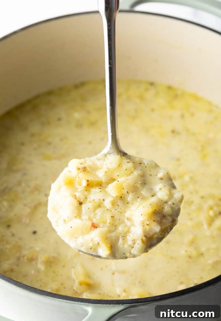 Metal ladle of soup showing to the camera.