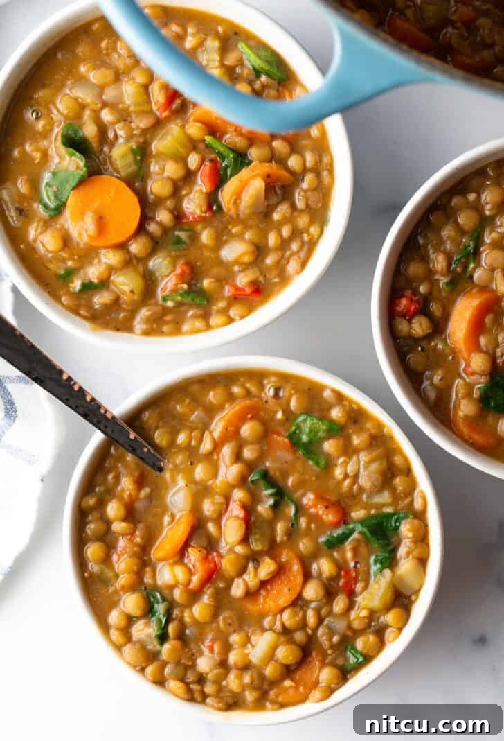 Classic Homestyle Lentil Soup 11 Three white bowls of comforting traditional lentil soup, generously adorned with vibrant carrots and fresh kale, presented on a rustic surface.