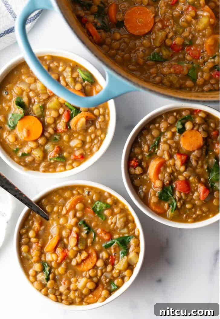 Classic Homestyle Lentil Soup 4 Three white bowls of wholesome lentil soup, rich with carrots and kale, promising warmth and nutrition.