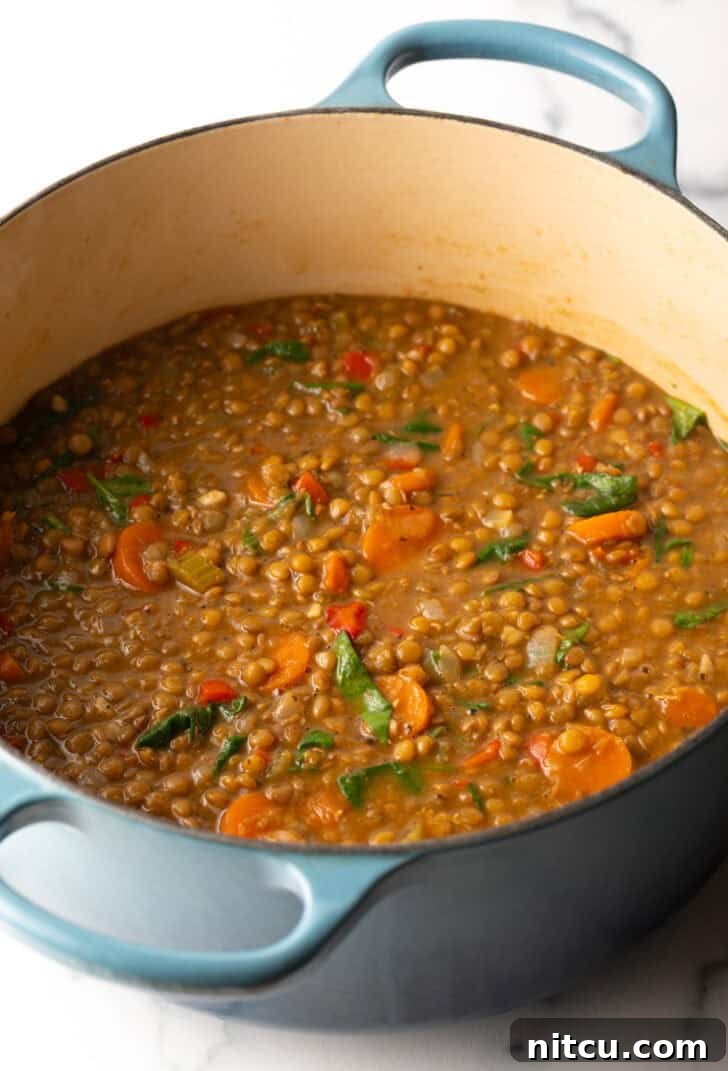 Classic Homestyle Lentil Soup 8 A large cooking pot filled with a rich, simmering lentil and vegetable soup, showcasing the medley of ingredients in a vibrant, savory broth.