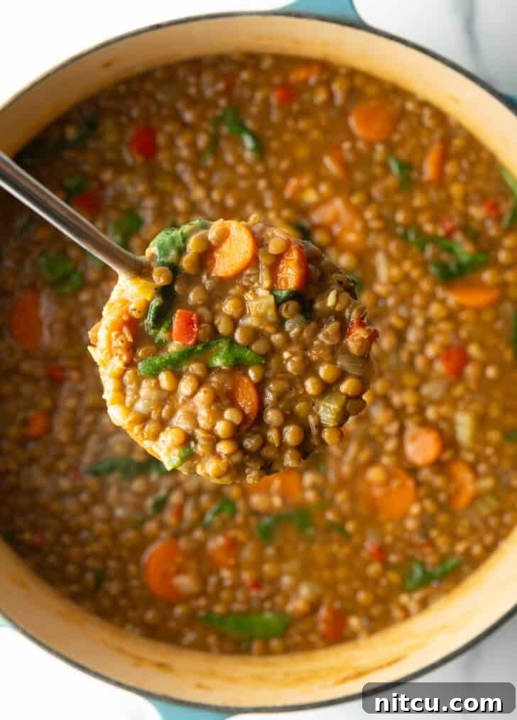 Classic Homestyle Lentil Soup 9 A ladleful of hearty lentil, carrot, and spinach vegetable soup, presented close to the camera, highlighting its rich texture and vibrant ingredients.