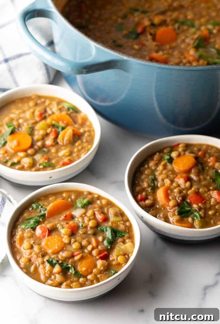 Classic Homestyle Lentil Soup 10 Three white bowls of flavorful traditional lentil soup, garnished with carrots and kale, symbolizing comfort and healthy eating.