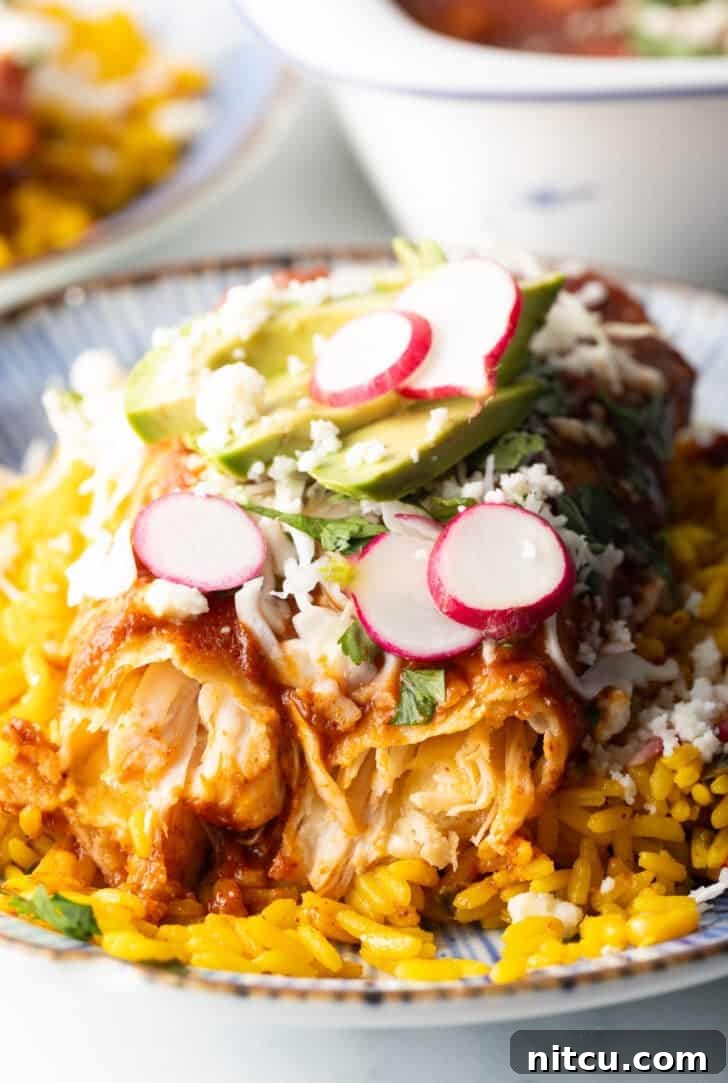 Grandma's Secret Enchiladas 12 Large plate with 2 enchiladas covered in red sauce, on a pile of fluffy yellow rice and topped with fresh cabbage slaw, sliced radishes, and avocado.