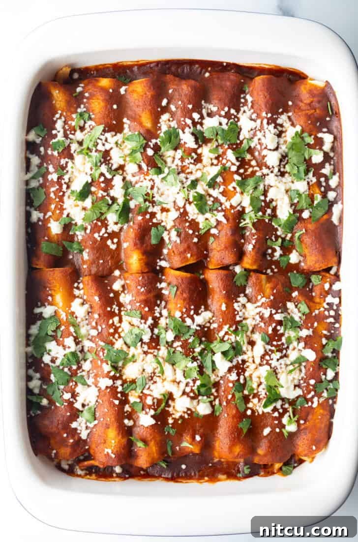 Grandma's Secret Enchiladas 10 Large white rectangle baking dish with a dozen rolled enchiladas covered in red sauce, sprinkled with cotija cheese and chopped cilantro.