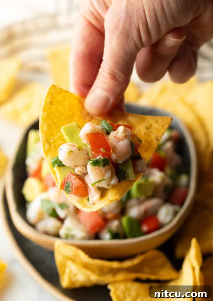 A hand holding a crispy tortilla chip with a generous scoop of vibrant shrimp ceviche, ready to be enjoyed, captured up close to highlight the freshness.