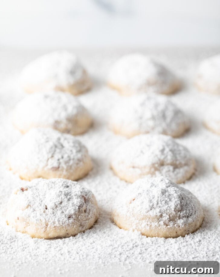 8 snowball cookies on a baking sheet, covered with a heavy layer of powdered sugar.